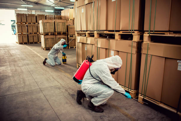 Best Mosquito Control Services  in Winfield, IL