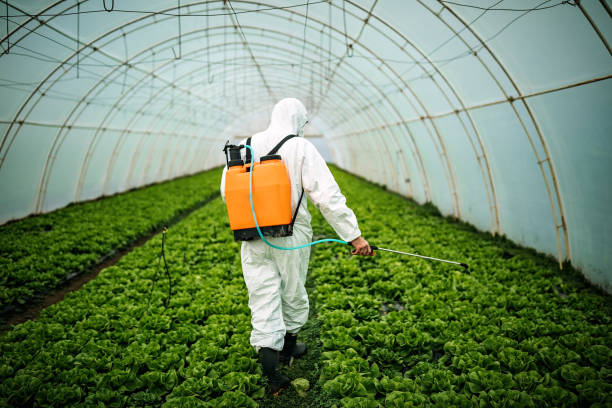 Best Best Pest Control Companies  in Winfield, IL