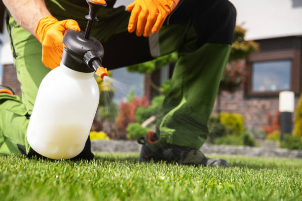 Best Spider Control Near Me  in Winfield, IL