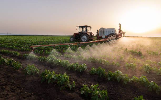 Best Best Pest Control Companies  in Winfield, IL