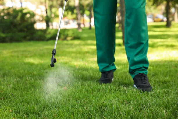 Professional Pest Control in Winfield, IL