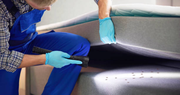 Best Emergency Pest Control  in Winfield, IL