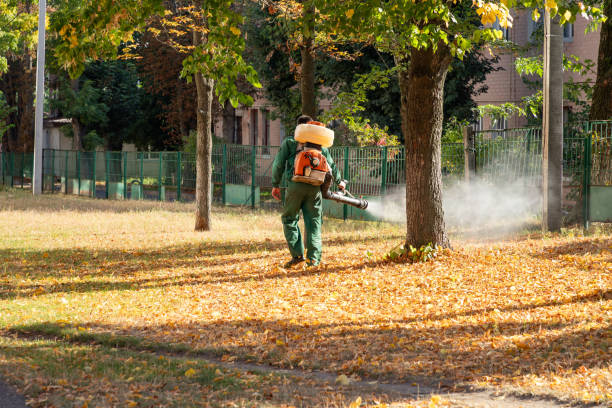 Best Flea Control Services  in Winfield, IL
